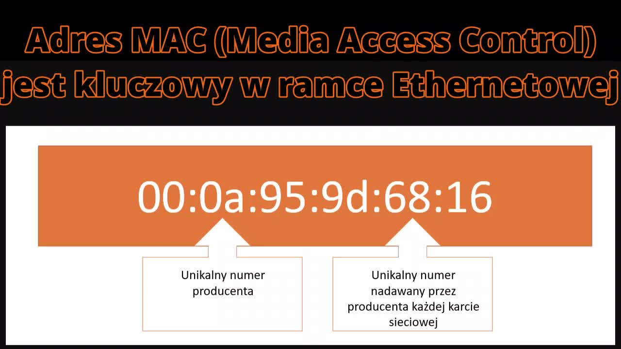 204 Ethernet cz2